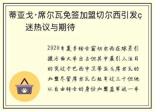 蒂亚戈·席尔瓦免签加盟切尔西引发球迷热议与期待